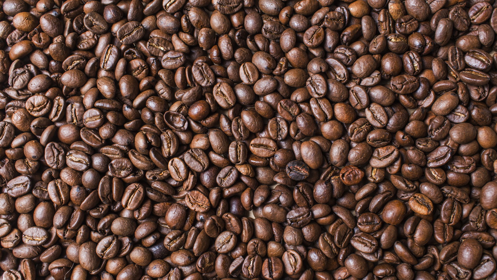 coffee bean