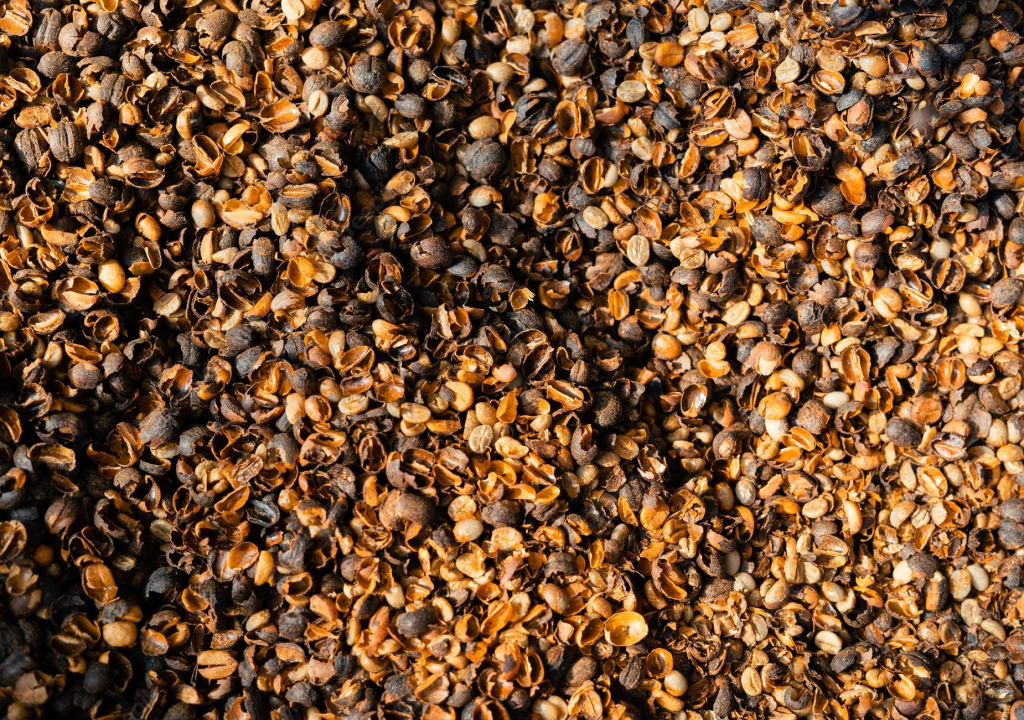 dry process coffee