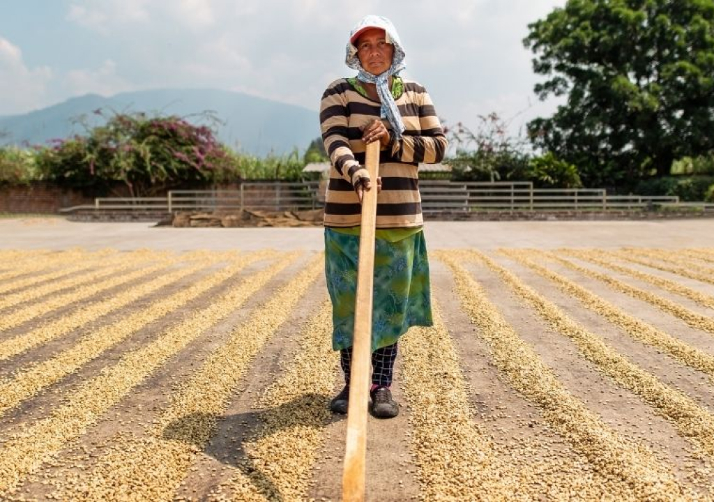 dry process coffee