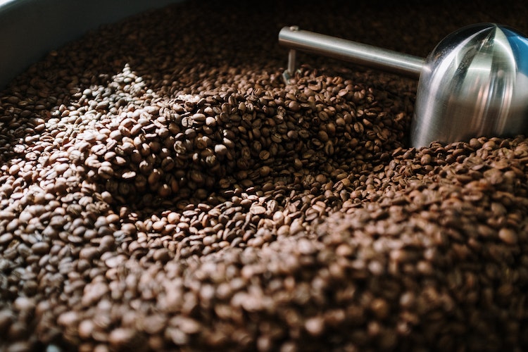 produksi kopi mandailing